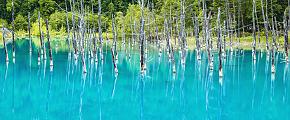Summer Biei Blue Pond in Hokkaido