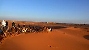 The Sahara Desert