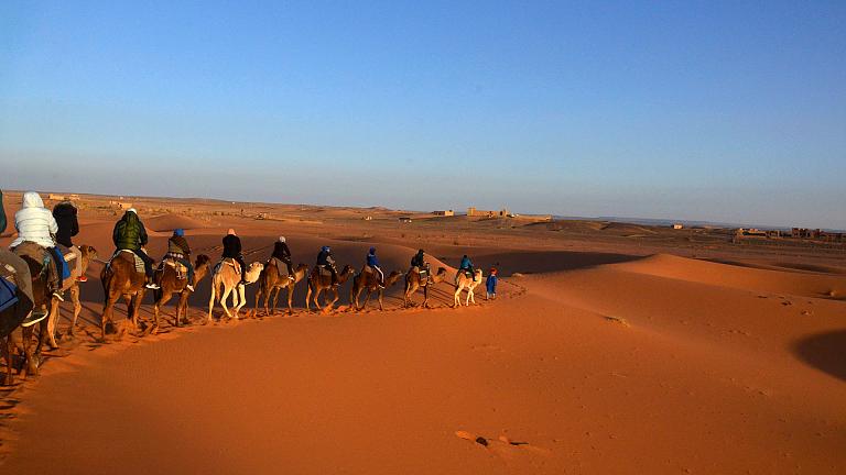 The Sahara Desert