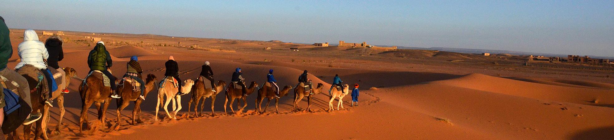 The Sahara Desert