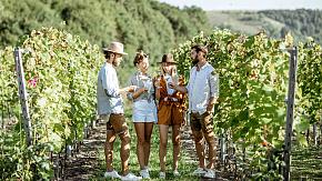 Wine Tasting in Portugal's Vineyard