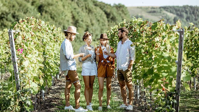 Wine Tasting in Portugal's Vineyard