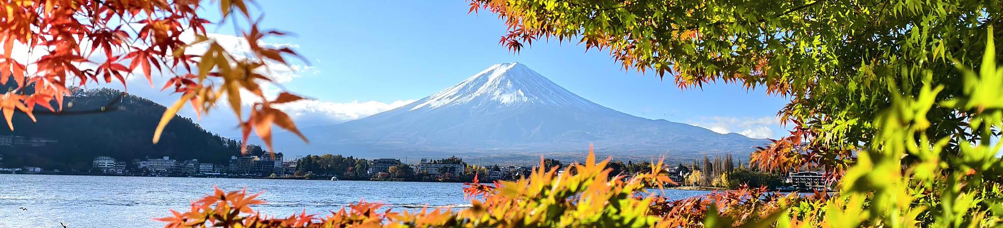 Mount Fuji With Autumn Leaves