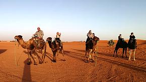 The Sahara Desert