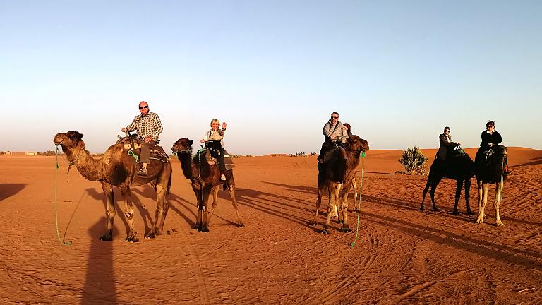 The Sahara Desert