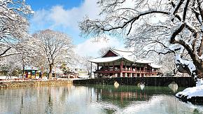 What to Do in Each Season in South Korea