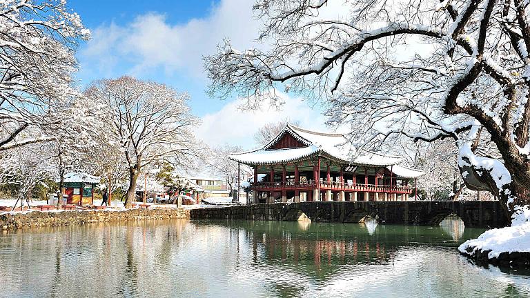What to Do in Each Season in South Korea