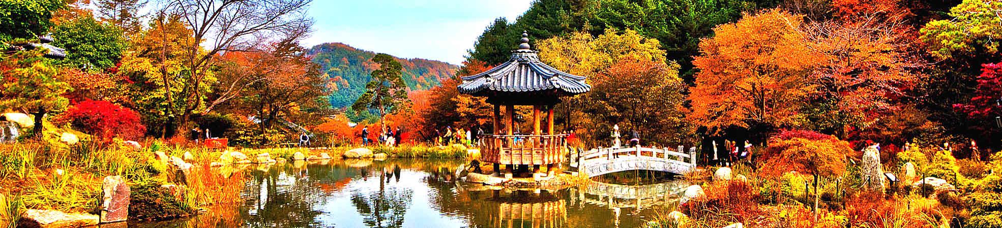 South Korea Foliage in November