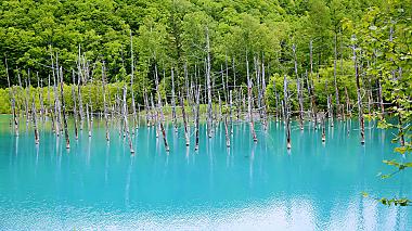 Summer Biei Blue Pond in Hokkaido