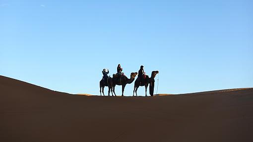 The Sahara Desert