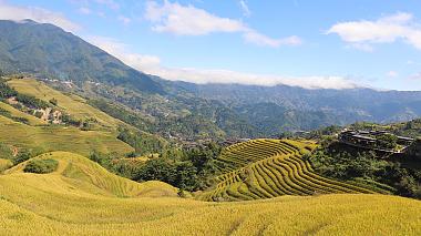 Longji Rice Terraces in Guilin