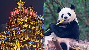 Hongya Cave in Chongqing vs. Pandas in Chengdu