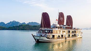 Orchid Trendy Cruise