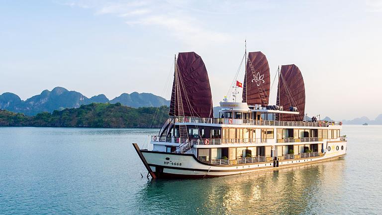 Orchid Trendy Cruise