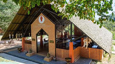 IRETREAT Jungle Bliss, Pa Pae