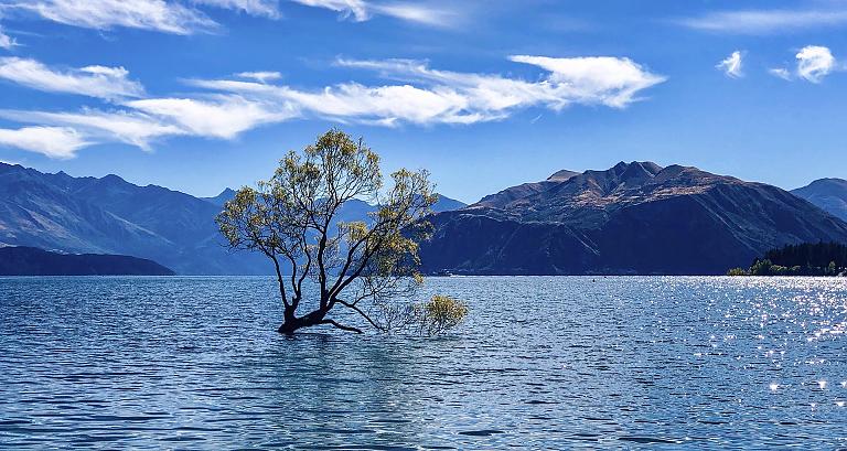 New Zealand