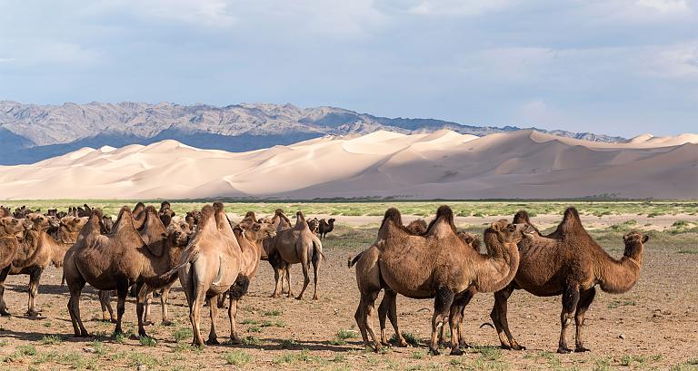 Mongolia