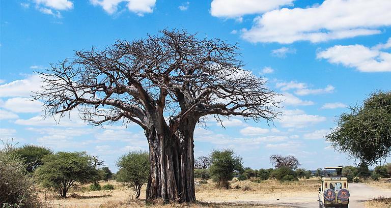 Madagascar