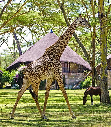 Kids-friendly hotel