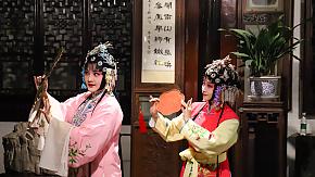 MASTER OF THE NETS GARDEN