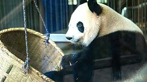 Chengdu travel sites