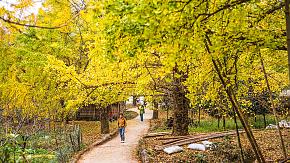 Travel to China in Autumn