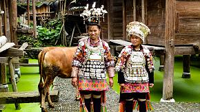 Miao's Silver Accessory Culture 