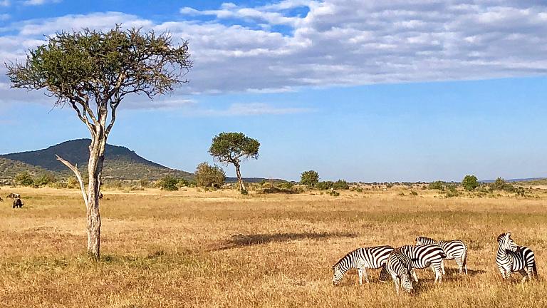 Maasai Mara