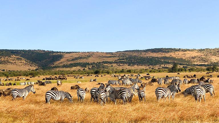 Serengeti National Park