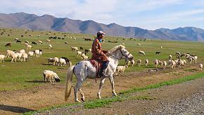 Terelj National Park