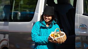 Professional Local Tour Guides