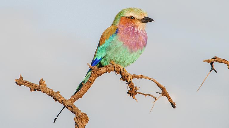 Serengeti National Park