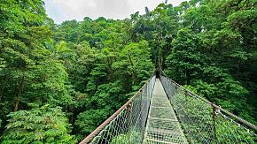 Monteverde Cloud Forest