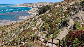 Chiloe National Park