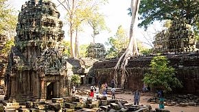 Early Bird Promotion