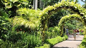 Singapore Botanical Garden