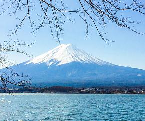 Mt. Fuji