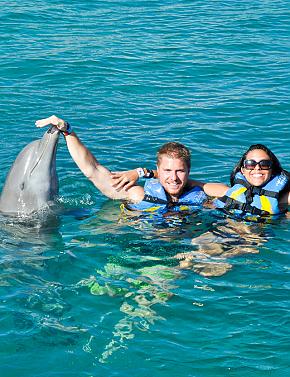 Personalized Trip Around Your Needs 