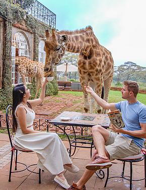 Feature Accommodation Closed to Nature