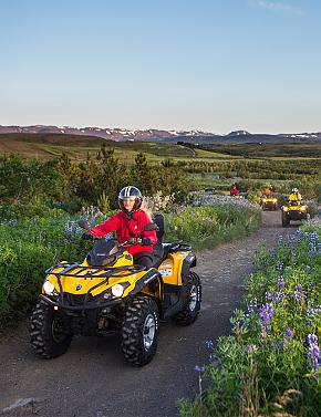 Expertise in Thrilling Activities