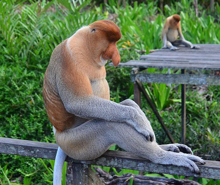 Sabah