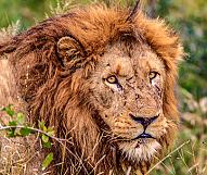Kenya - Best Places to Go in July