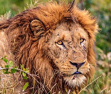 Kenya - Best Places to Go in July
