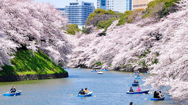 Japan Tours