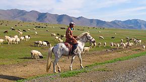 Mongolia Tours