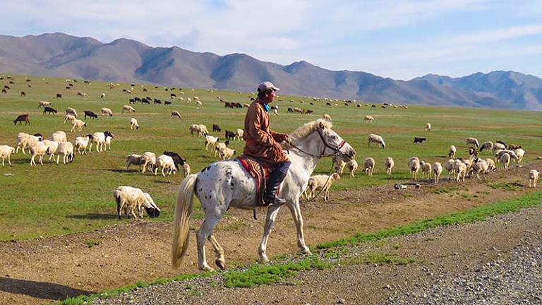 Mongolia Tours