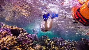 Cabo San Lucas, Mexico