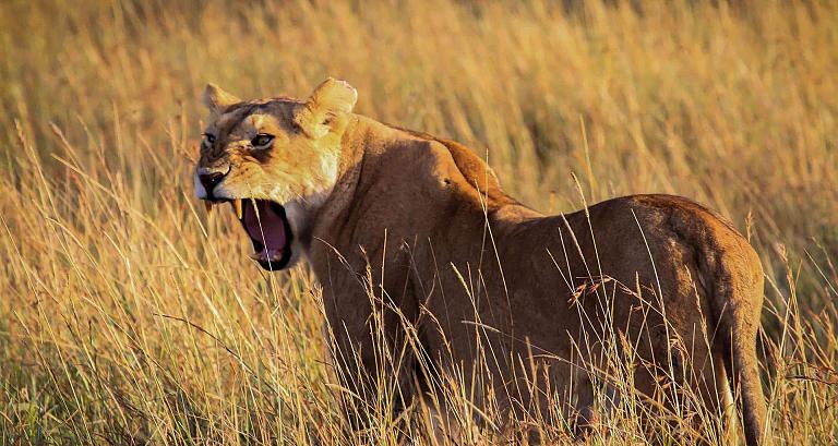 Kenya