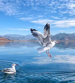 Yunnan