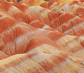 Silk Road Tours